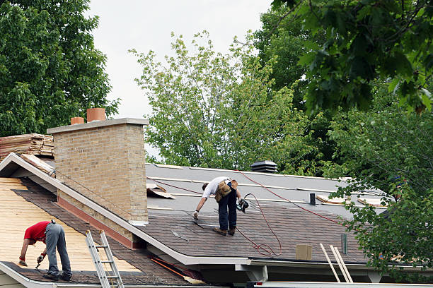 Roof Gutter Cleaning in Santaquin, UT